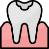 tooth tooth